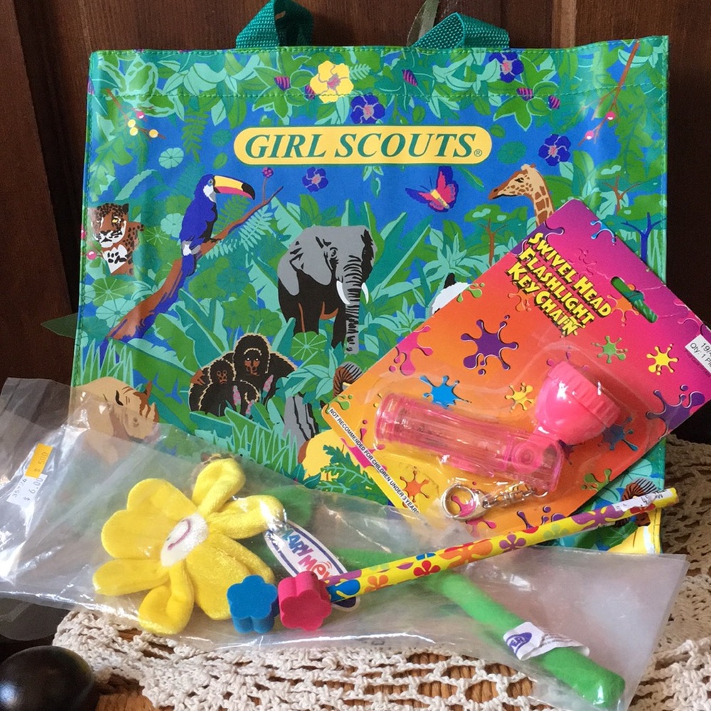 Girl Scout tote bundle